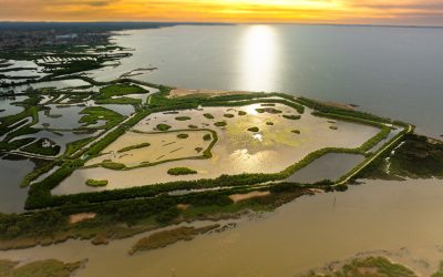 Delta de la Leyre