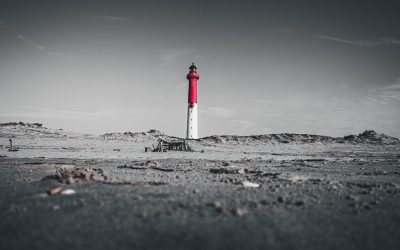 DJI_0853