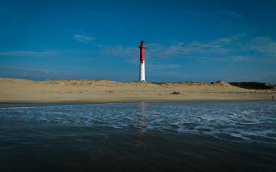 DJI_0859
